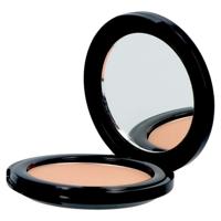 Les Couleurs De Noir Soft Touch Blush 01