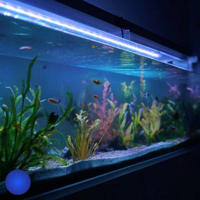 50 t/m 70 cm aquarium led strip blauw