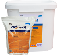 Neporex 2 WSG