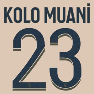 Kolo Muani 23 (Ligue 1)