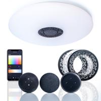 VoiceControl LED Plafondlamp 50 cm met Google Nest & Amazon Echo Dot houder - Bedienbaar met App
