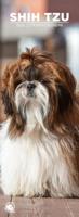 Shih Tzu Slimline Kalender 2026 Shih Tzu Slimline Kalender 2026