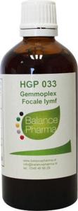 HGP033 Gemmoplex focale lymf