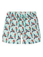 Name It Name It Jongens Zwemshort Kinderen NKMZADDI Papegaai Print Wit - thumbnail