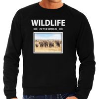 Olifant sweater / trui met dieren foto wildlife of the world zwart voor heren
