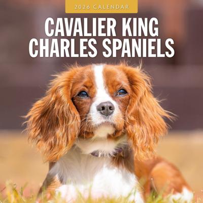Cavalier King Charles Spaniel Kalender 2026