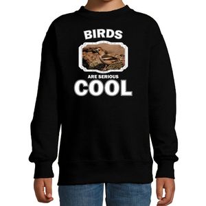 Sweater birds are serious cool zwart kinderen - vogels/ appelvink vogel trui
