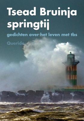 Springtij (Hardback)