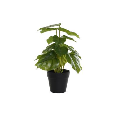 Decoratieve plant DKD Home Decor PVC Polypropyleen 20 x 20 x 30 cm