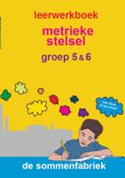 Metrieke stelsel (Paperback) Metrieke stelsel (Paperback)