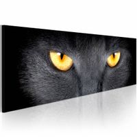 Schilderij - Kat,Kijk in mijn Ogen, zwart/geel, wanddecoratie,  Premium print ,2 maten