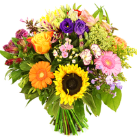 Zomerbloemen boeket