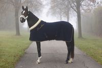 Covalliero Fleecedeken Teddy Kraag - thumbnail