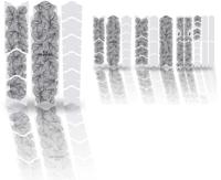 Unleazhed Unscratch - Frame protection film Monstera black matt