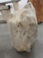 Fossiel hout C31 - thumbnail