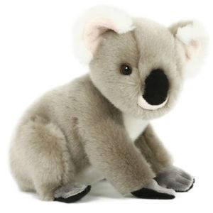 Pluche koala knuffel 20 cm speelgoed