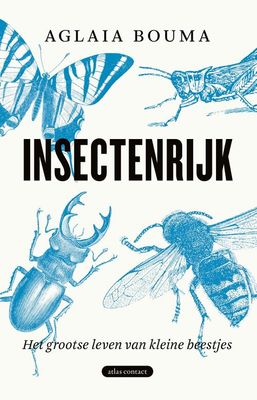 Insectenrijk - Aglaia Bouma - ebook