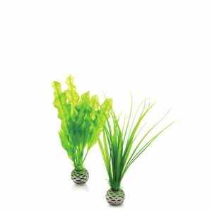 Plantenset klein groen - biOrb
