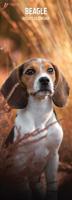 Beagle Kalender 2026 Slimline