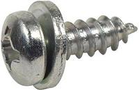 Dresselhaus No.-plate tapping screws 5.5 x 25 mm