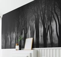 Mistig bos fotobehang Mistig bos fotobehang