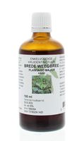 Natura Sanat Plantago major / brede weegbree tinctuur (100 ml)