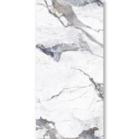 PVC Marmer Wandpaneel Glans Paneel 260x120x0.3cm