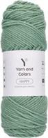 Yarn and Colors Happy 079 Aventurine