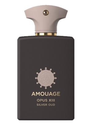 Amouage Eau de Parfum Library Collection Opus XIII Silver Oud 100ml | Dames Parfum