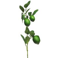 Kunstbloem citrusfruit tak limoen - 74 cm - groen - losse steel - Kunst zijdebloemen