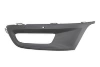Ventilatiegrille, bumper 6502079507915P