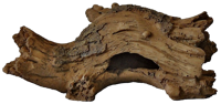 Superfish Forest Deco Wood Log hout small