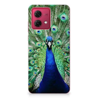 Motorola Moto G84 | TPU Hoesje | Pauw