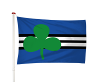 Vlag Wijdewormer