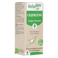 Herbalgem Olijfboom Bio 30ml - thumbnail