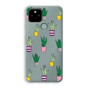Sanseveria: Google Pixel 5 Transparant Hoesje