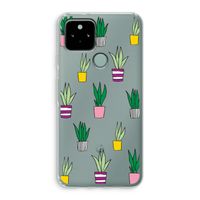 Sanseveria: Google Pixel 5 Transparant Hoesje