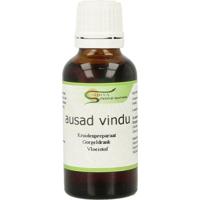 Surya Ausad vindu Surya Ausad vindu