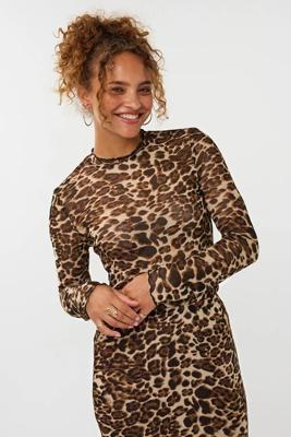 Ydence Top Shiva | Leopard