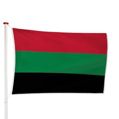 Vlag NEC Nijmegen