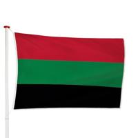 Vlag NEC Nijmegen