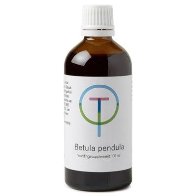 Therapeutenwinkel Betula pendula ruwe berk 100 Milliliter Therapeutenwinkel Betula pendula ruwe berk 100 Milliliter