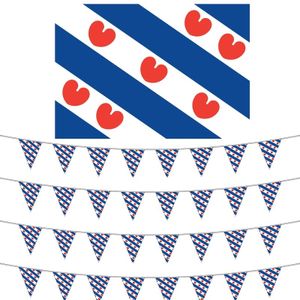 Friesland versiering set met vlag + 4 vlaggenlijnen