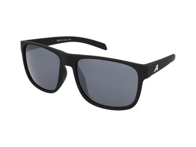 Zonnebrillen Alpina Nacan III Black Matt