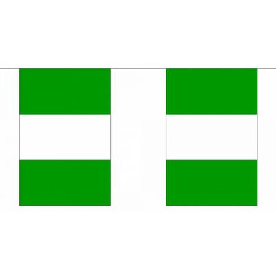 Vlaggenlijn Nigeria 9 meter