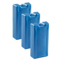 PlasticForte Koelementen - 6x stuks - 1,1 kg - 22 x 11 x 5 cm - extra groot