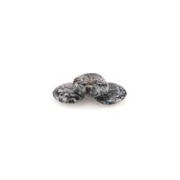 Handsteen Gabbro