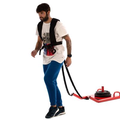 TRAINING SLEDGE FOR OLYMPIC DISCS
