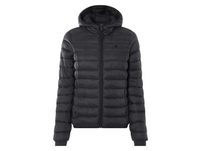 esmara Damen gewatteerde jas (S (36/38), Zwart)