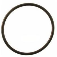 Xclear O-Ring Set voor UV-C Units 63mm Kraagbus/Wartel SB695 - Waterdichte Afdichting Vijver - 2 Stuks